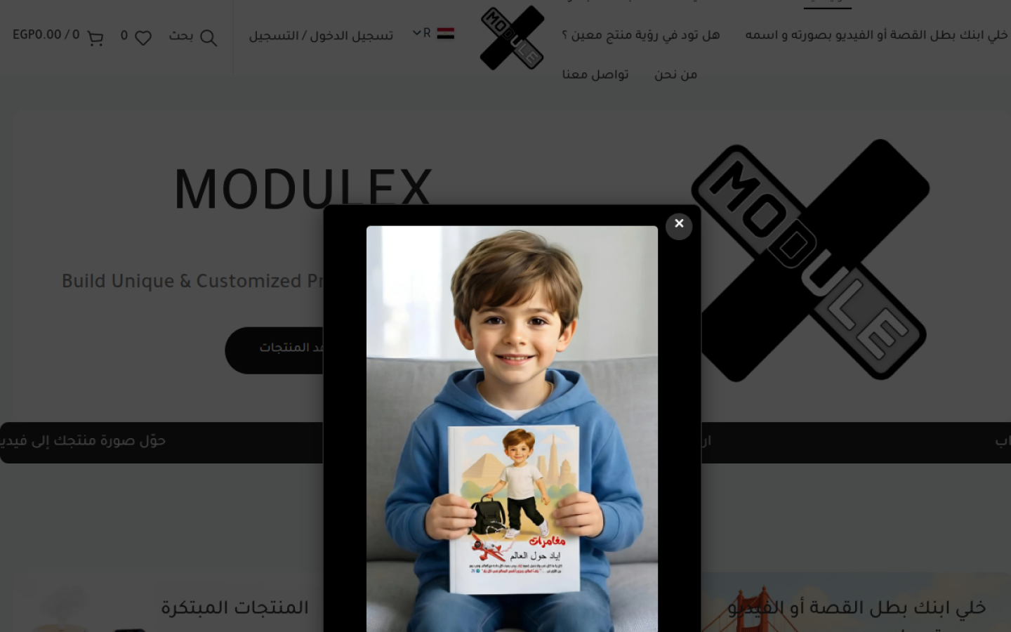 Modulex